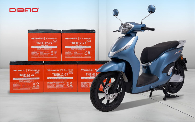 các loại ắc quy xe điện